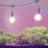 Miracle LED LETTUCE Grow Light Kit with Sproutmatic Timer-98242437
