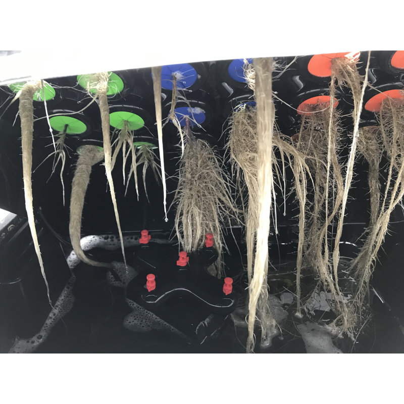Viagrow 24-Site Black Aeroponic Clone Machine