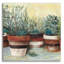  «Pots Herbs II Stripes Crop» par Carol Rowan, art mural en verre acrylique, 36 po x 36 po-1320898731
