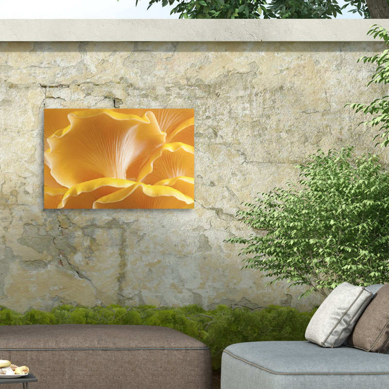 Marcus Jules, toile de fond champignon jaune, H 22 po x l 32 po