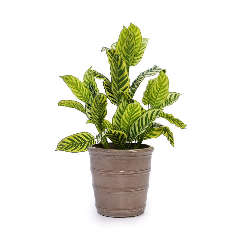 3 Antique Yellow Glossy Planter - , With Drainage For Plants 3 Ceramic Flowerpots All-Weather Use, Reinforced Construction,