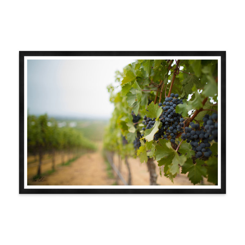 Raisins dans le vignoble, H 35,5 po x l 54,75 po x P 1,5 po, Noir