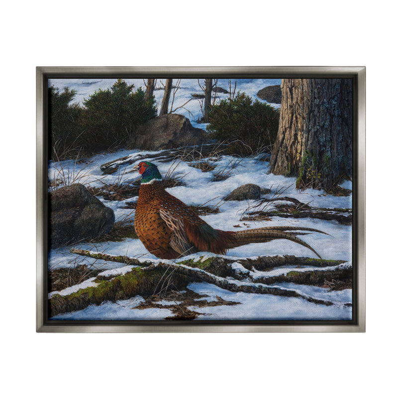 " Pheasant In Snowy Woods ", Lustre Grey Floater Frame, 17" H x 21" W x 1.7" D