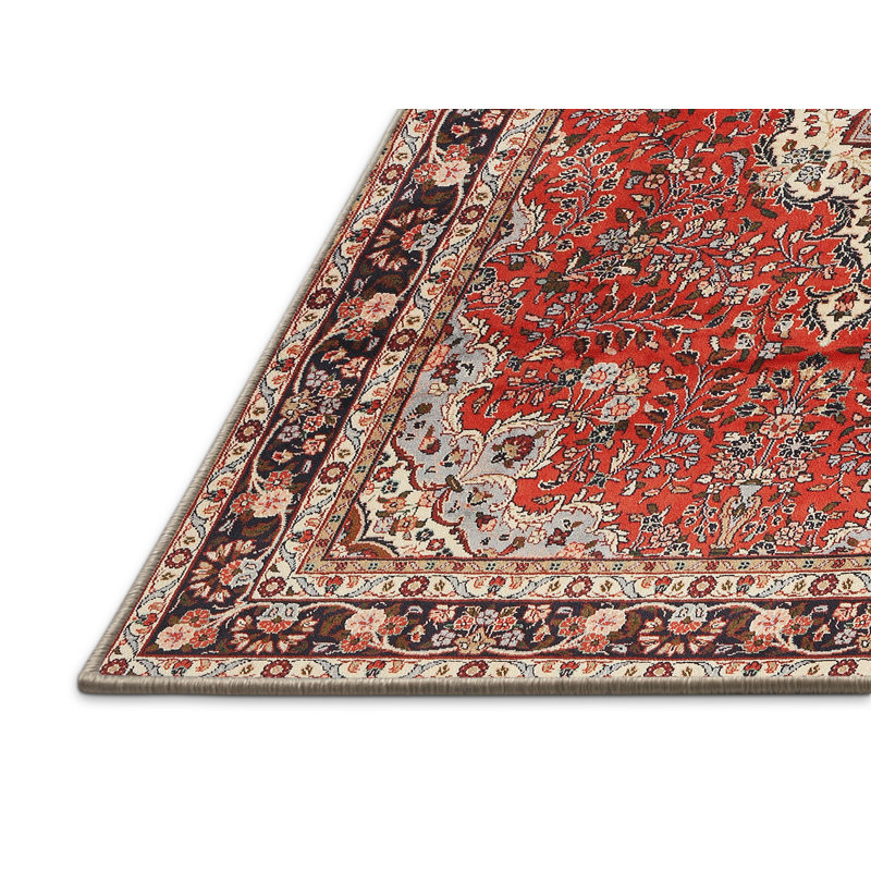 Tapis oriental en laine / polyester beige / rouge / bleu tissé à la machine Hakana, Rectangle 4 pi x 6 pi