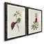 Pretty Pink Botanicals VI - Ensemble de 2 reproductions de cadres photo-1481787813-1481787814