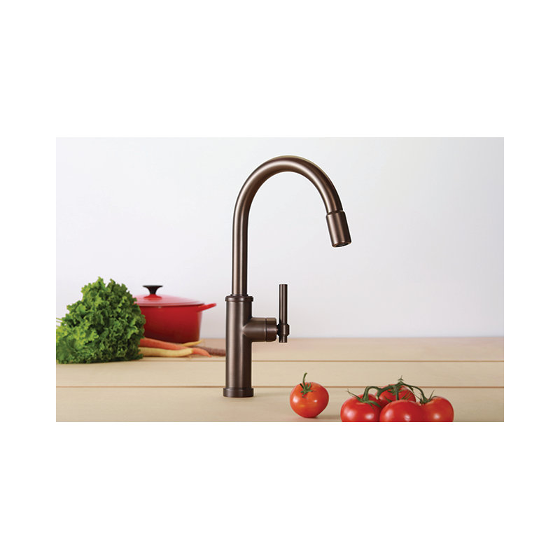 Seager Single Handle Pull Down Kitchen Faucet, Antique Brass