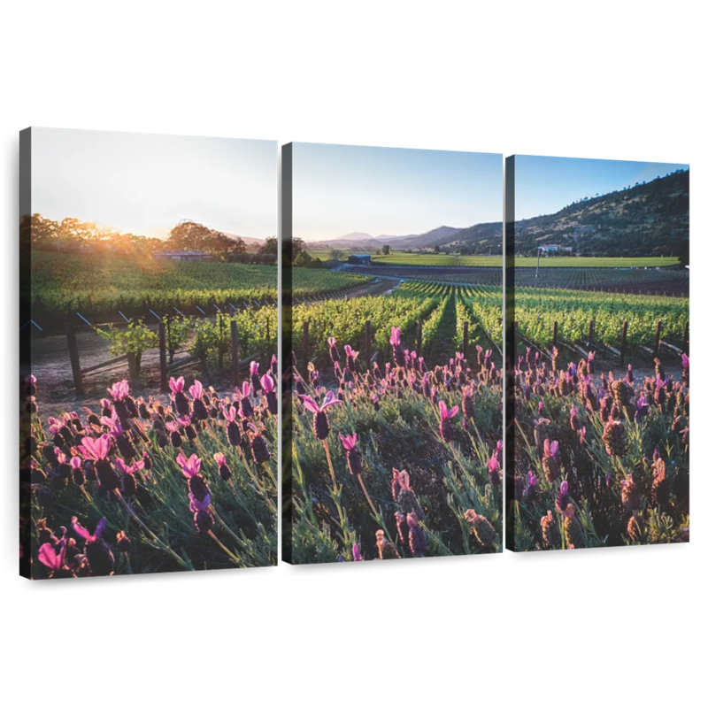 Alvord Napa Valley, vignes et fleurs, H 20 po x l 33 po