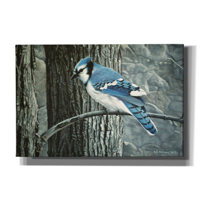 " Backyard Jay " by Ron Parker