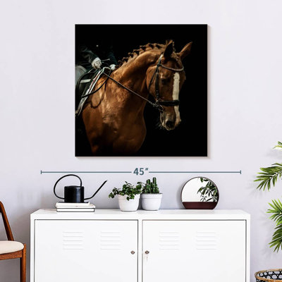 Brampt Dressage Chestnut Horse