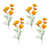 Orange est en rupture de stock