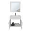 Armoire de salle de bain avec miroir et deux tablettes intérieures, rangement mural (PAS DE ROBINET INCLUS)-480602004-480602005