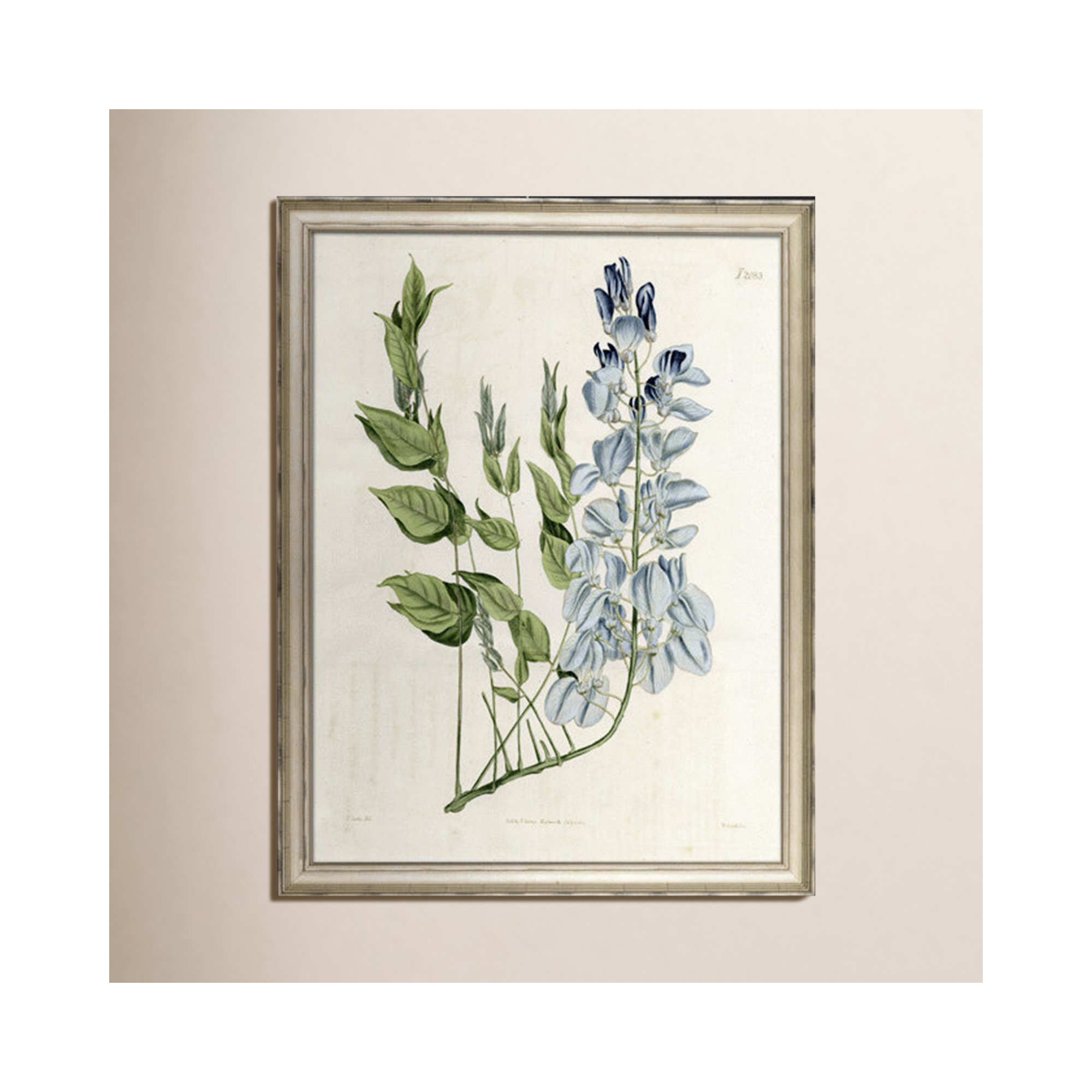 Large Blue Botanical II