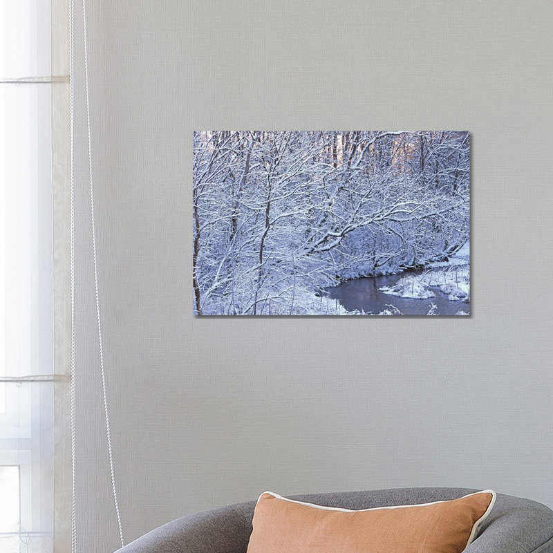 Covered in White 1 Piece Wrapped Canvas Wall Art