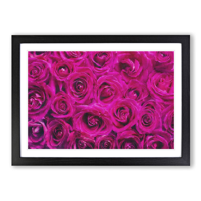 Wall of Bright Pink Roses - Picture Frame Painting Print, Black Framed, 33cm H x 45cm W x 2cm D