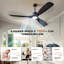 Ventilateur de plafond intelligent 60 po avec lumière, 3 pales ABS, télécommande à 6 vitesses et commande vocale APP, 3CCT, à intensité variable, moteur réversible BLDC-133438086-133334315