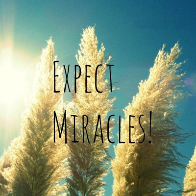 Expect Miracles Text' by Robin Delean Painting Print on Wrapped Canvas -  Marmont Hill, MH-ROBDIC-65-C-40