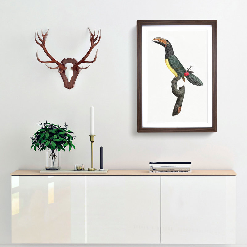 Green Aracari Toucan by Jacques Barraband - Framed Print, 48cm H x 36cm W x 2cm D, Walnut Framed