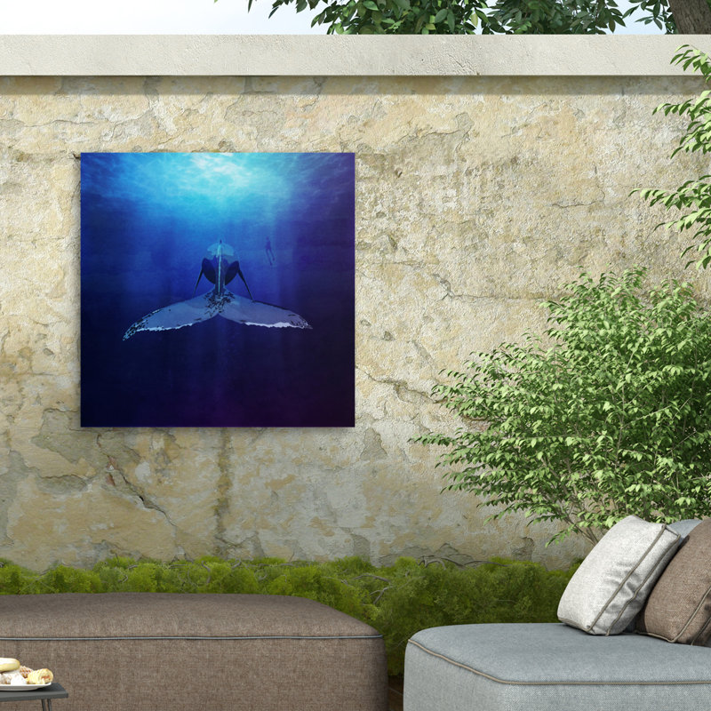 Baleine bolognaise sur toile, H 24 po x l 24 po