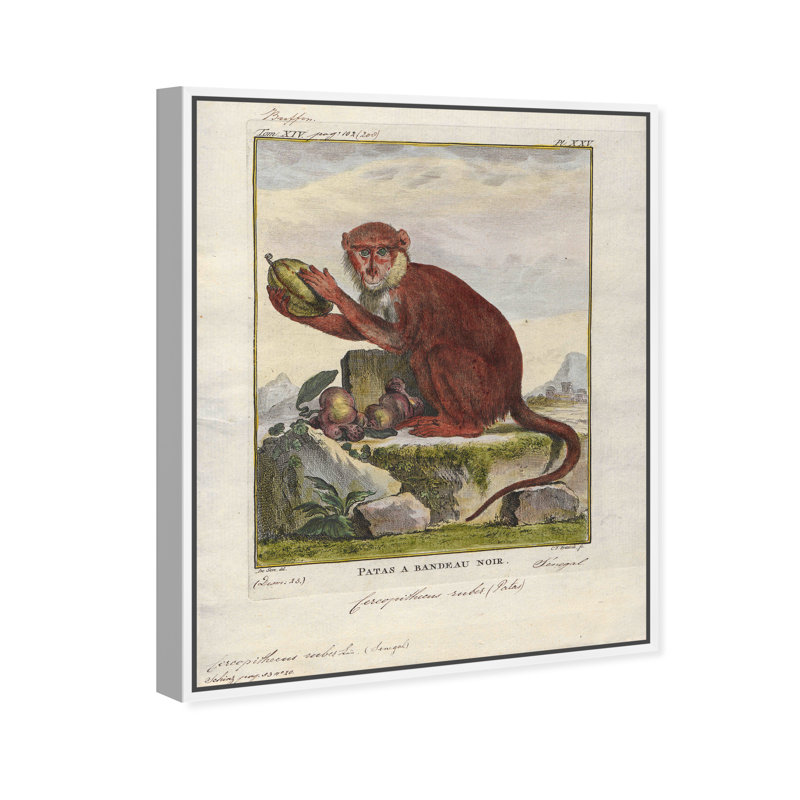 " Red Monkey " Painting Print, White Framed, 45" H x 36" W x 1.5" D