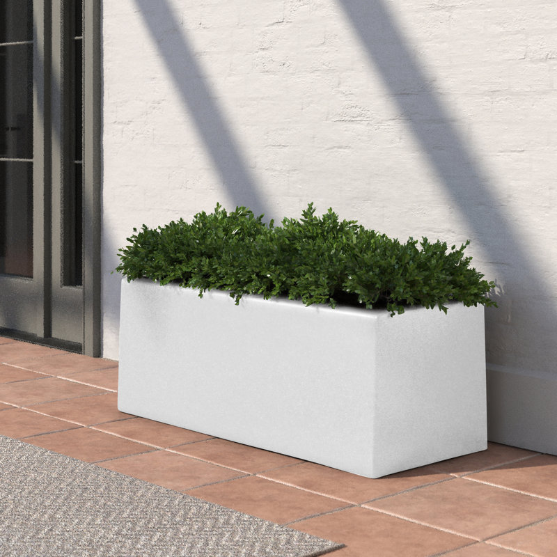 Bac à fleurs rectangulaire Cogburn Belmont, Blanc, H 8 po x l 24 po x P 8 po