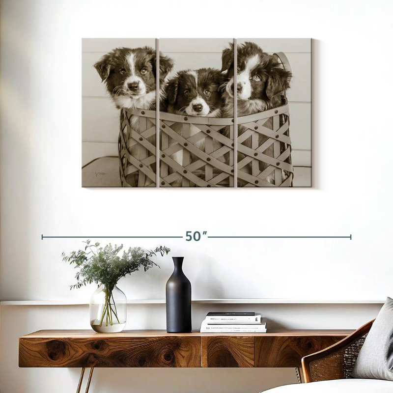 Brampt What A Cute Bundle, 24" H x 38" W