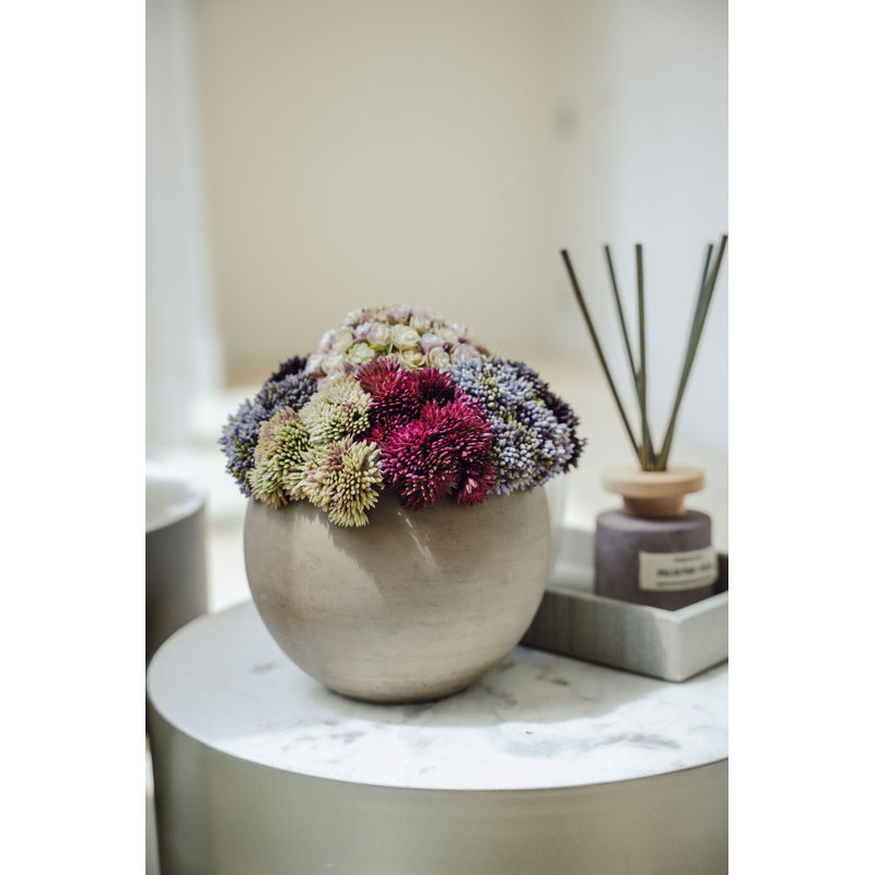 Elias Sedum Arrangement, Purrple/Red/Blue