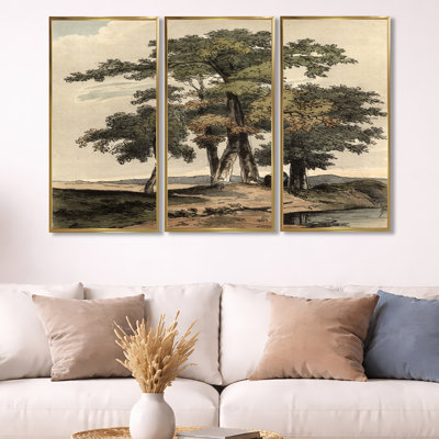 " Vintage Images Of Old Trees I " 3 - Pieces