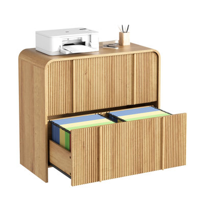 Lateral File Cabinet with 2 Drawers,Modern Fluted File Cabinet with Adjustable Hanging Rod for Letter/Legal/A4