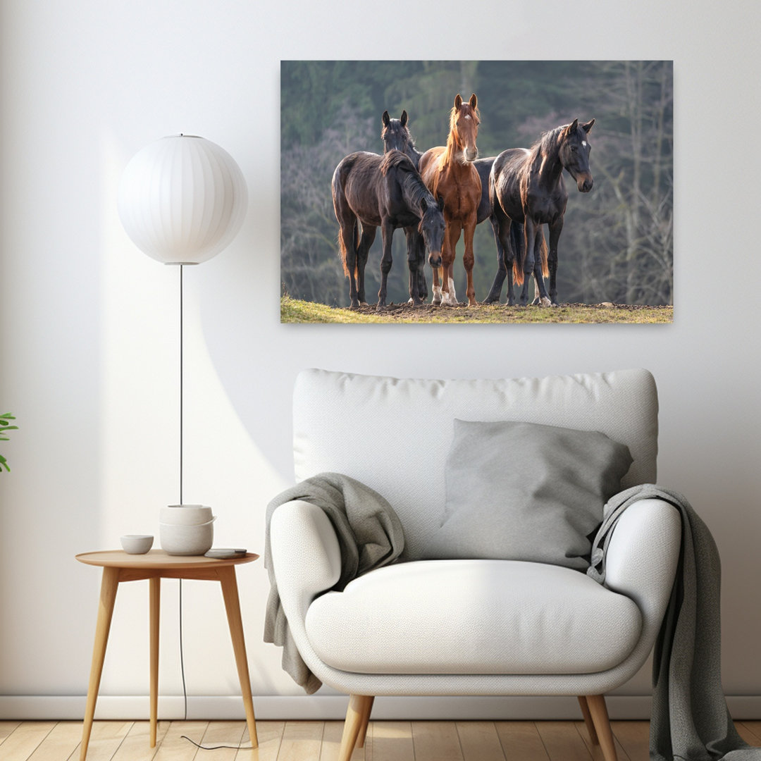 Majestic Horse Herd Peaceful Serene Tranquil Horse Forest Nature Wall Art Print