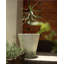 Concrete Planter