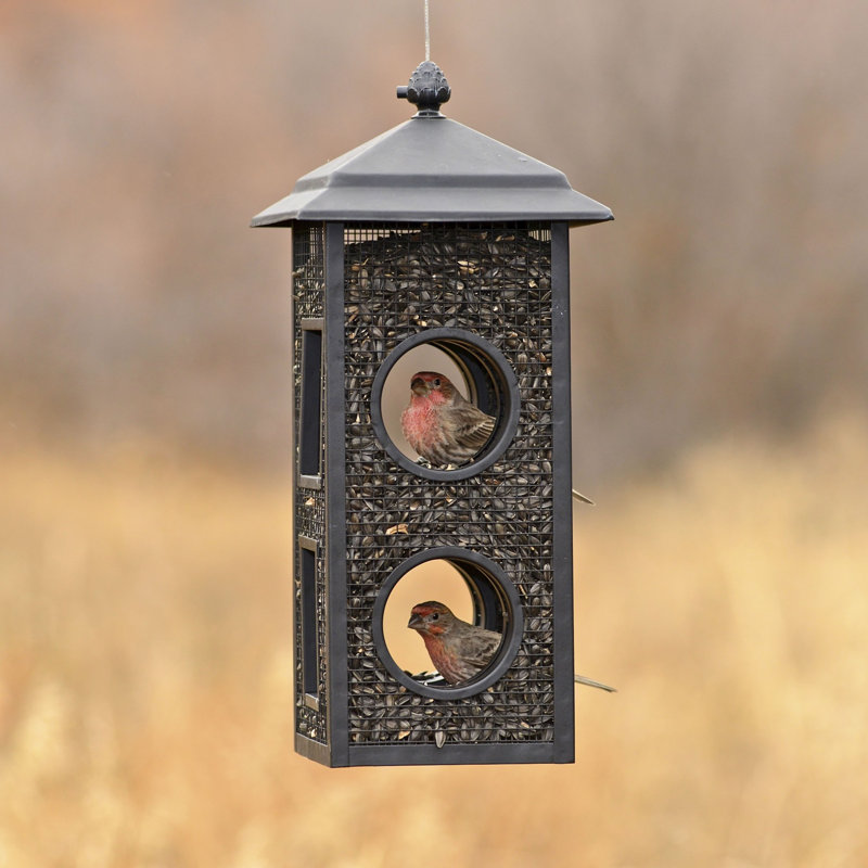 Black Metal Fly-Through Hanging Wild Bird Feeder