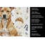 Serviette de cuisine Fawn American Staffordshire-1234934656