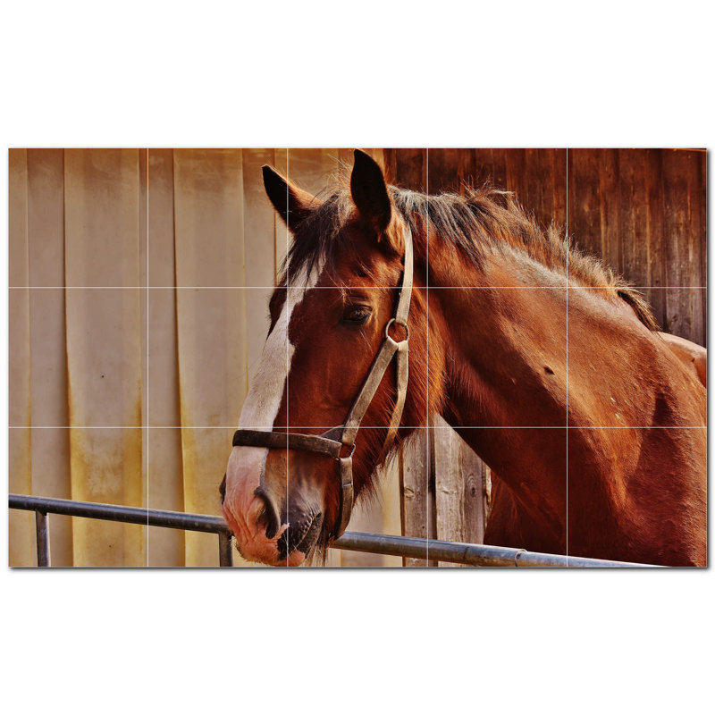 Murale en céramique satinée Horse Photo 4,25 po x 4,25 po