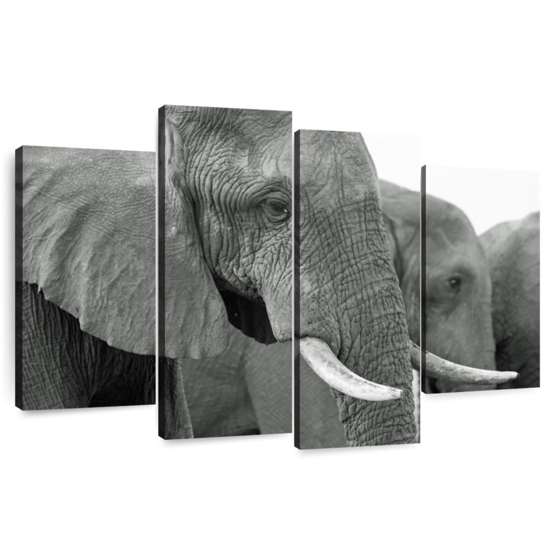 Brampt Elephant Ivory Tusks