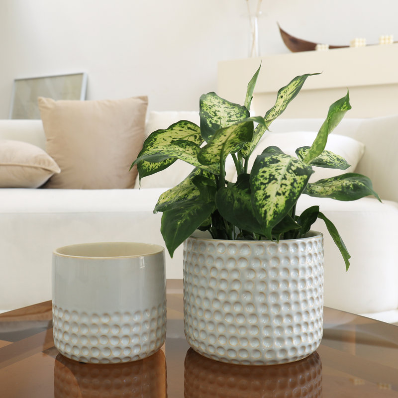 Elayna Ceramic Pot Planter, Ivory White