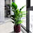 Modern Bean Paste Red Ceramic Flowerpots For Outdoor Spaces - With Root- Drainage 3 Garden Frost- And Glossy Finish-1673336202