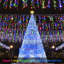 Indoor / Outdoor Icicle Lights