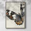 Reproduction encadrée ANIMALS Series CECLX - bois massif-677257811