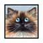 « Choc label point » par Kim Haskins-reproduction d’art-54022810-54022816-54022813