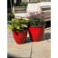 Grier Plant Pot-14687355