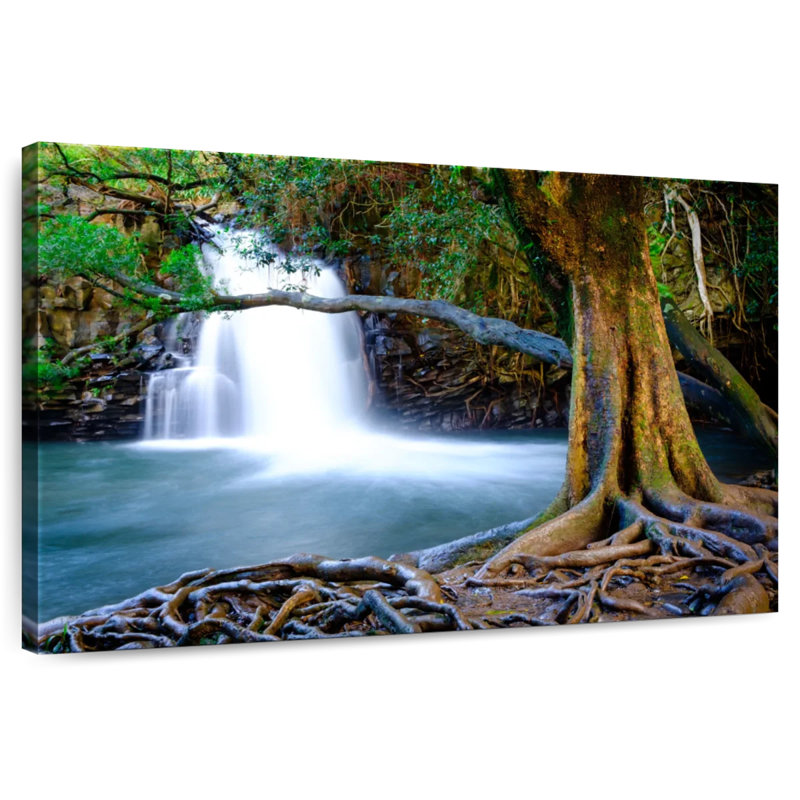 Cascade de l'ancien arbre d'Alvord Maui, H 30 po x l 45 po