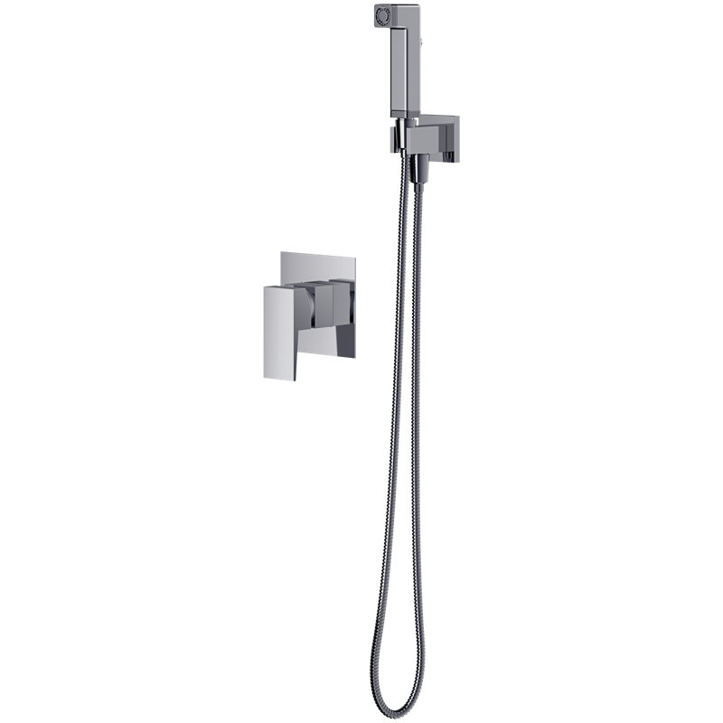 Patroclus Rain Handheld Shower Head