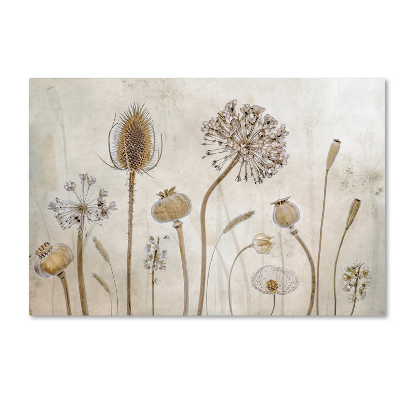 Art mural sur toile tendue - Mandy Disher «Growing Old», art mural pour salon, chambre à coucher ou bureau - 22 x 32