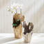 Vase de table Candelora-55380239-55380240