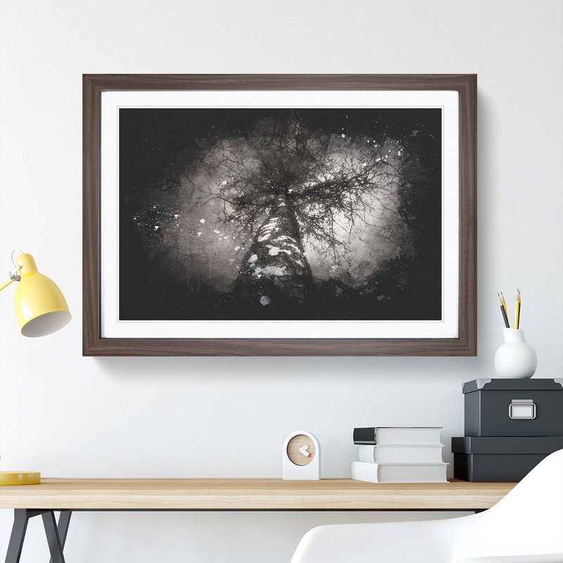 Birch Tree - Picture Frame Graphic Art, Walnut, 27cm H x 36cm W x 2cm D