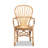 Biagio 20.1" W Rattan Armchair