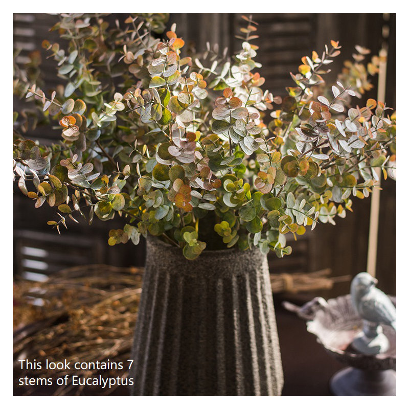 Tige de eucalyptus rustique, 1 tige