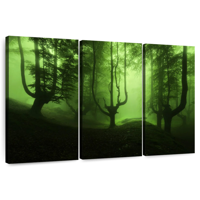 Forêt verte brumeuse, H 20 po x l 33 po