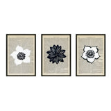 Flowers Set Of 3 Print by Michela Sorrentino