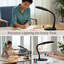 Lampe de bureau 22 po Sunlight